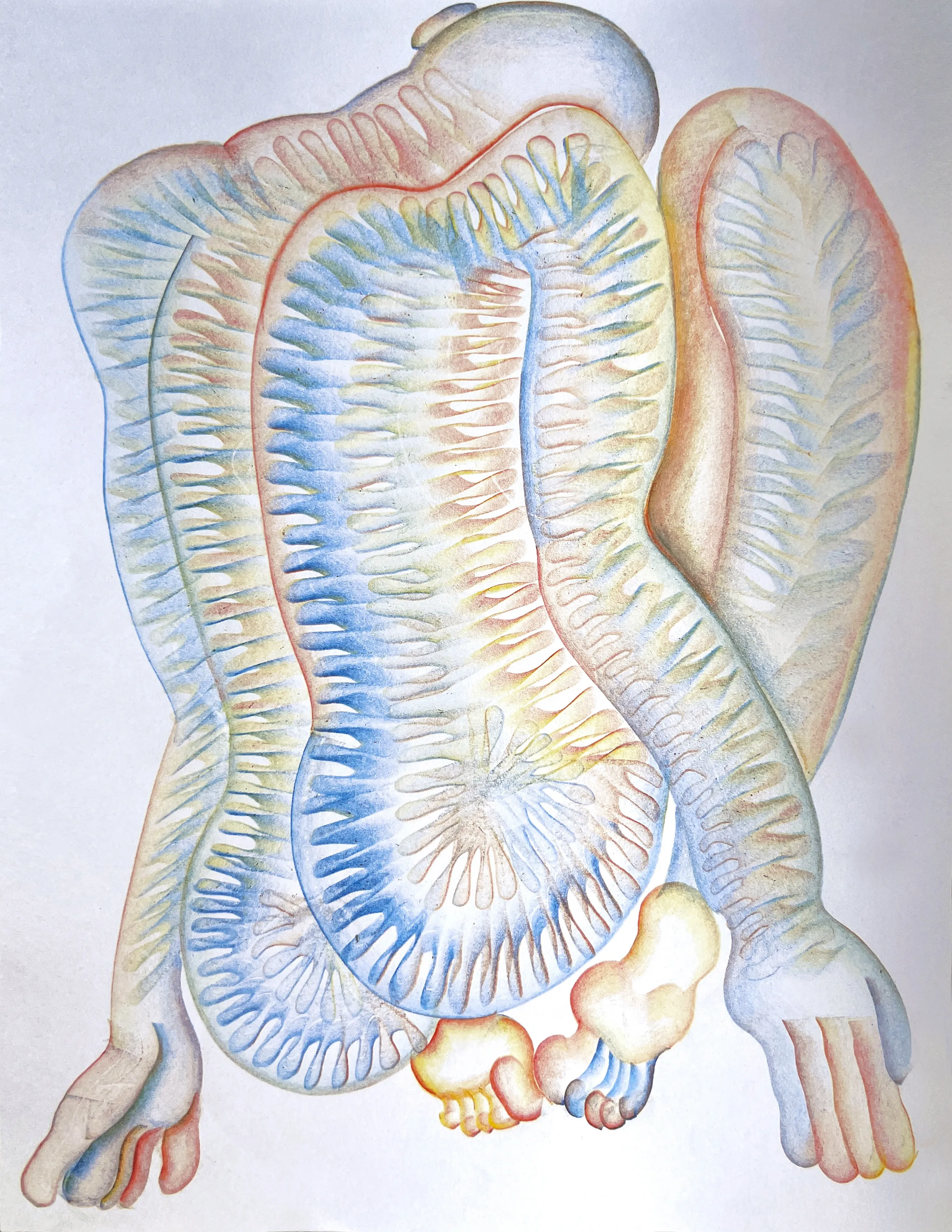 Зображення "Untitled" від Дебера Ярина, розмір: 30x40, медіум: Графіка, серія: Пластична деформація, ціна: $400