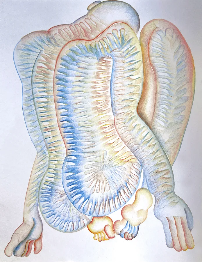 Зображення "Untitled" від Дебера Ярина, розмір: 30x40, медіум: Графіка, серія: Пластична деформація, ціна: $400