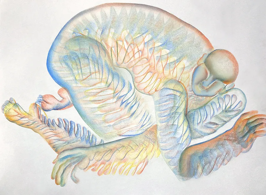 Зображення "Untitled" від Дебера Ярина, розмір: 30x40, медіум: Графіка, серія: Пластична деформація, ціна: $400